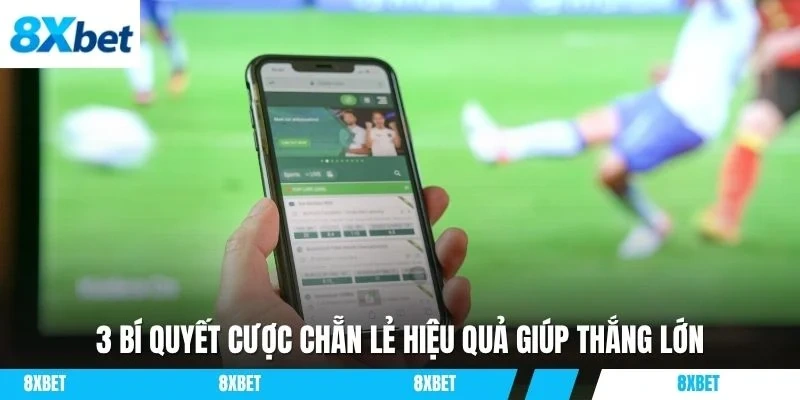 3 bí quyết cược chẵn lẻ hiệu quả giúp thắng lớn