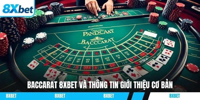 Baccarat 8xbet và thông tin giới thiệu cơ bản