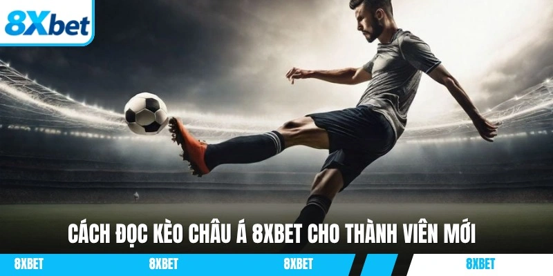 Chia sẻ cách đọc tỷ lệ dành cho người mới