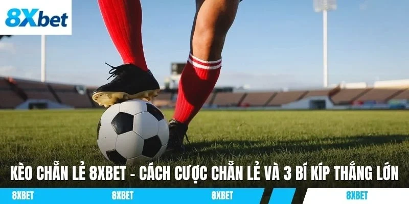Kèo chẵn lẻ 8XBET là loại cược phụ thú vị dễ chơi trong cá cược bóng đá.