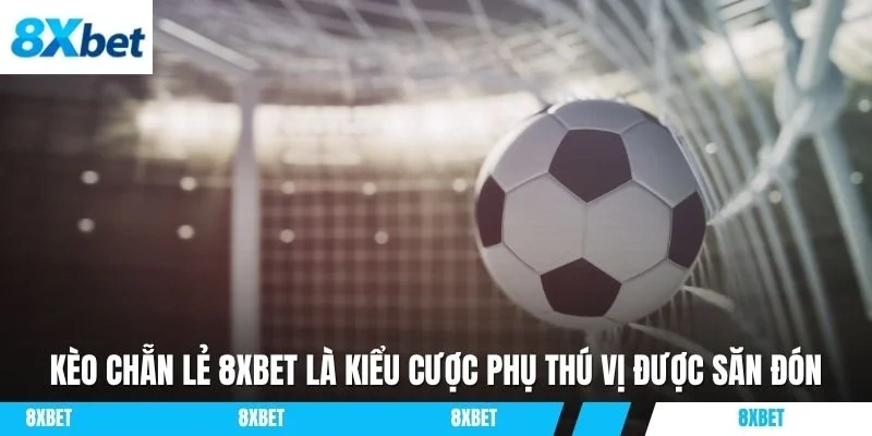 Kèo chẵn lẻ 8XBET là kiểu cược phụ thú vị được săn đón
