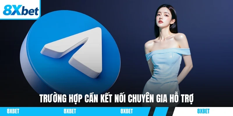 Trường hợp cần kết nối chuyên gia hỗ trợ