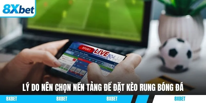 Lựa chọn 8xbet mang lại sự an tâm khi chơi