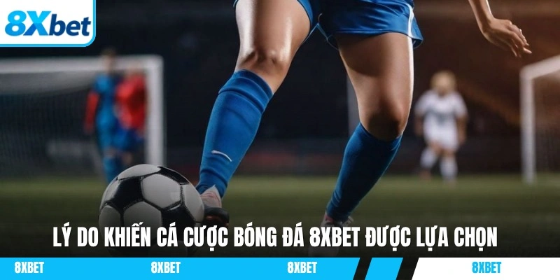 Lý do hội viên nên tham gia cá cược bóng đá 8XBET