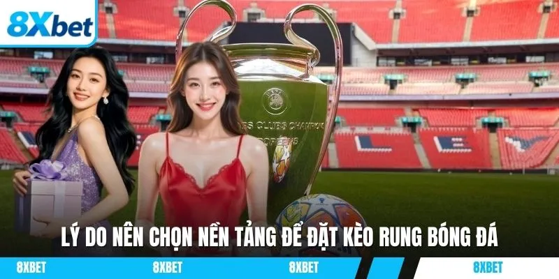 Lý do nên chọn nền tảng để đặt kèo rung bóng đá