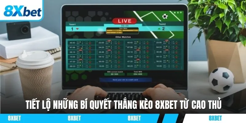 Tiết lộ những bí quyết thắng kèo 8xbet từ cao thủ