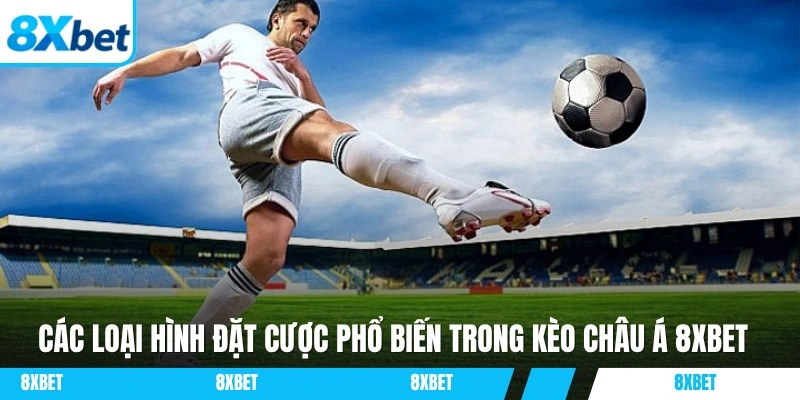 Tổng hợp các hình thức đặt cược hình thức châu Á